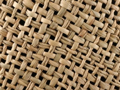 Seagrass